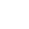 s-NF-icon