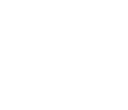 s-mini-icon