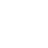 s-nat-icon-100